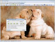 XnView - бесплатный просмотрщик графики с возможностью редактирования и цветокоррекции Основные функции редактора фото в XnView